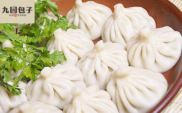 九园包子重庆 餐饮品牌