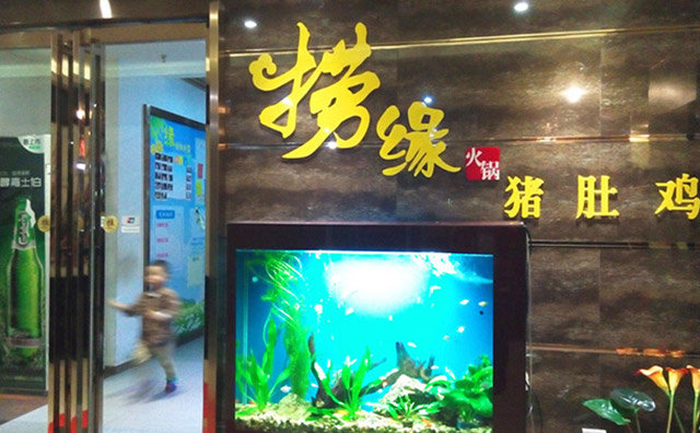 捞缘猪肚鸡火锅加盟品牌介绍