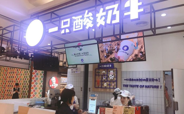 加盟一只酸奶牛生意好吗？这个品牌怎么样