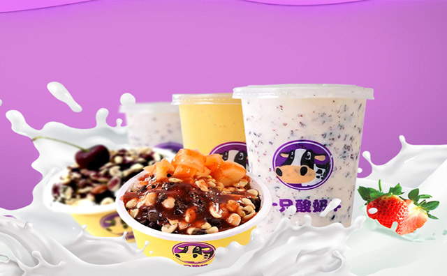 一只酸奶牛县城可以加盟吗？