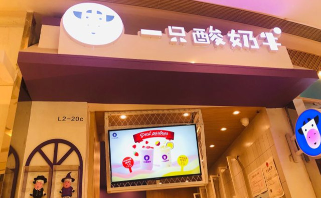 如何加盟一只酸奶牛？加盟费高吗？