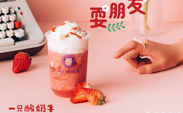 一只酸奶牛加盟好不好