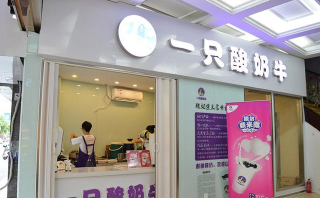 加盟一只酸奶牛后悔吗？