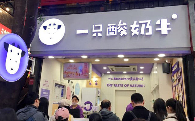 一只酸奶牛加盟费和保证金多少钱