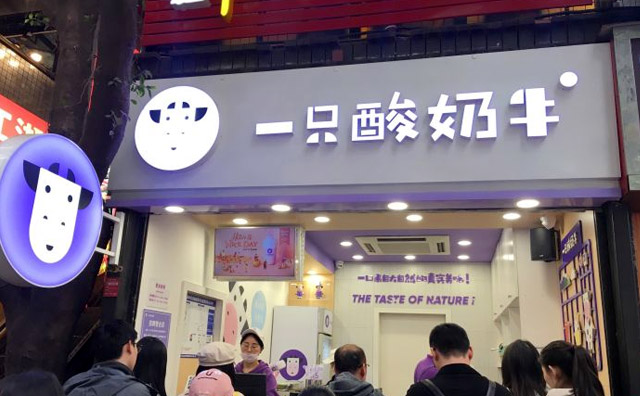 一只酸奶牛和一口酸牛奶的区别