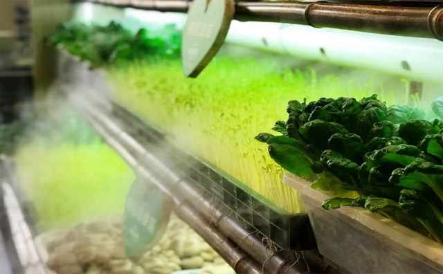 如何让一个新品牌火热并持续火热，记江南鲜火锅——鲜货俚