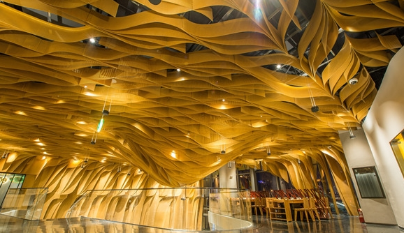 ��ūë�ǻ���ھ�