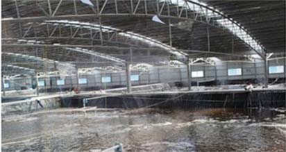 Ҽ���ʲ���